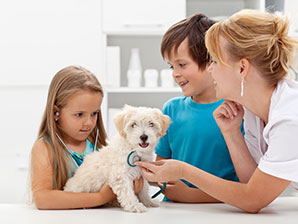 Vet Ratings and Reviews